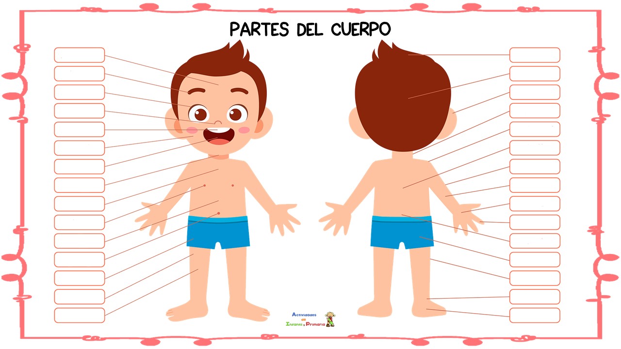 Partes Del Cuerpo 1