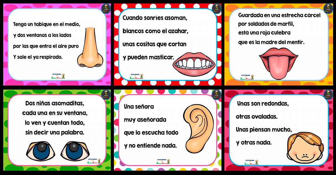 Adivinanzas De Las Partes Del Cuerpo