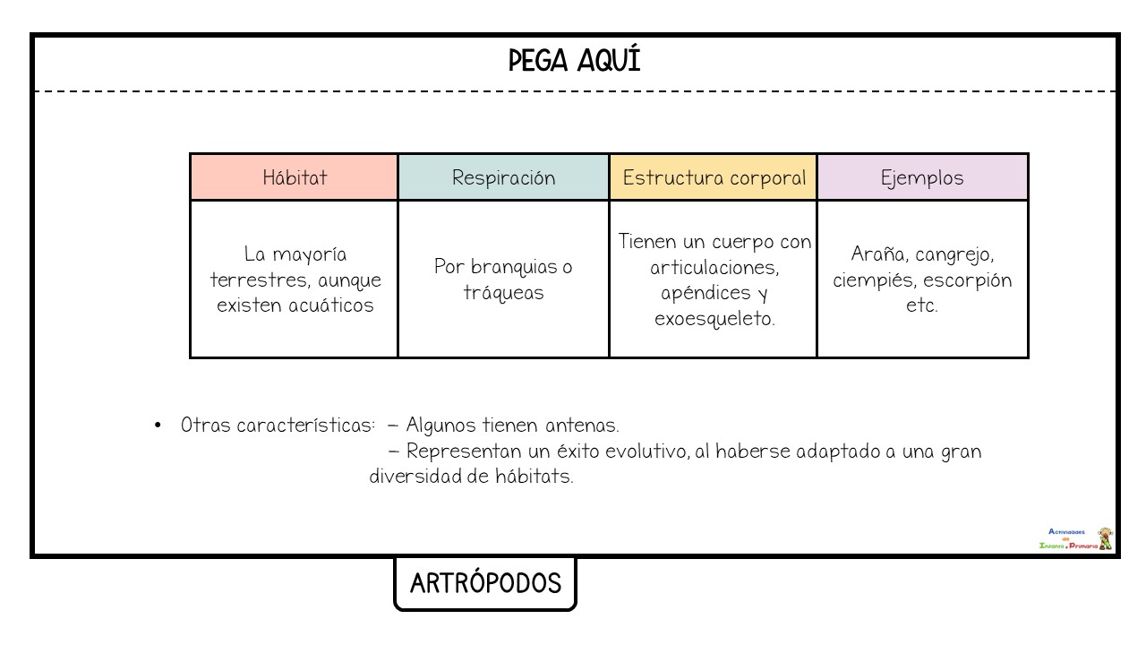 animales invertebrados (5)