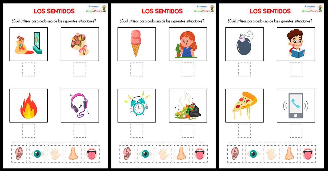 Actividades Sobre Los 5 Sentidos Para Primaria www.actividadesdeinfantilyprimaria.com